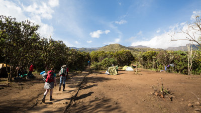 Breaking through the forest into the first camp at the Machame hut.