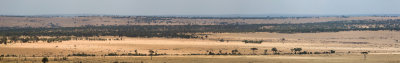 A wide shot that doesn't come close to capturing the sheer numbers of animals in the migration.