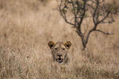 He waited while she ate, but didn't wait too long.