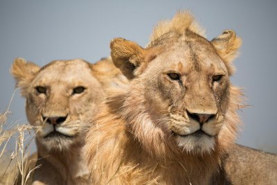 Serengeti National Park