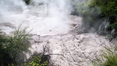 Rotorua geysers