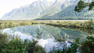 Milford Sound and Mirror Lakes