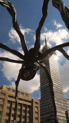 MAMAN EN BELLAS ARTES 