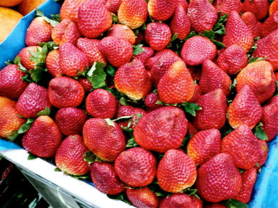 FRESAS