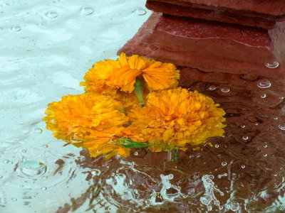 FUENTE TEHUACAN PUEBLA