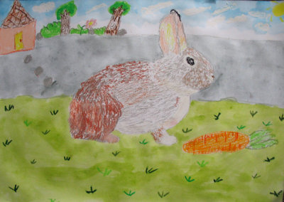 rabbit, Emma Chen, age:7.5