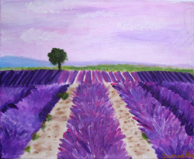 Lavender field, Samantha, age:9