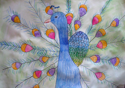 peacock, Tracy, age:6