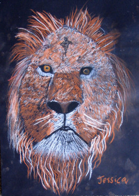 lion, Jessica, age:9.5