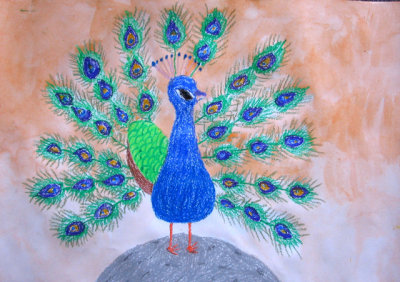 peacock, Josie, age:5.5