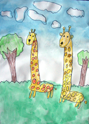 giraffe, Kyden, age:4.5