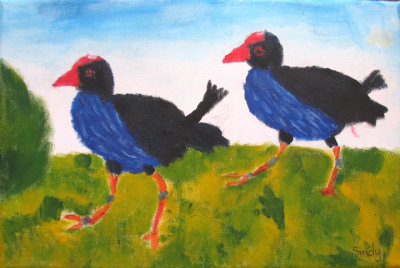 pukeko, Sindy, age:9