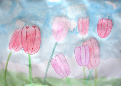 Tulips, Tracy, age:6