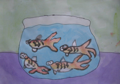 goldfish, Elaine, age:5.5