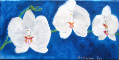 Orchid, Katherine, age:7.5