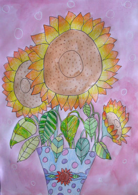 Sunflower, Tracy, age:7.5