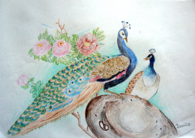 peacock, Jessica Zhang, age:9.5