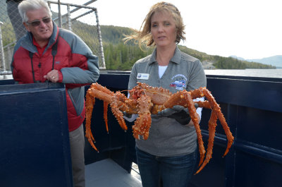 g9/78/68278/3/158563197.XKgUBybC.jpg
