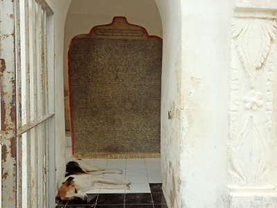 g9/78/68278/3/158563939.Z4Pkg0iE.jpg
