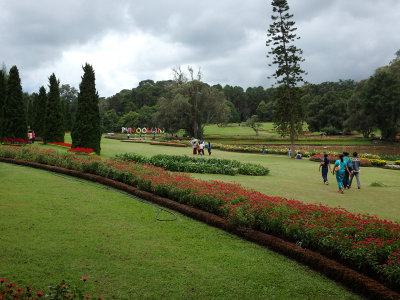 g9/78/68278/3/158564265.2Ac8LxuT.jpg