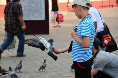 Feeding the birds in the town square