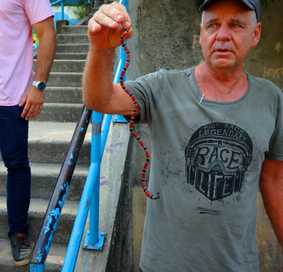 Snake was found while we were walking around the favela