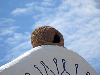 Bird's nest on the museum wall