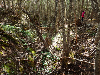 Descending the rugged track