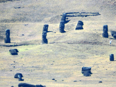 Monumental statues called moai