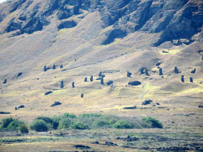 Monumental statues called moai