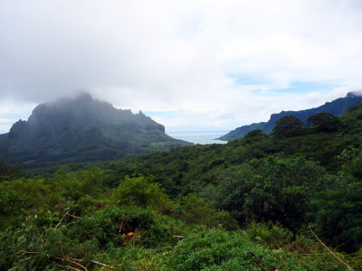 Tropical Moorea