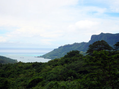 Tropical Moorea