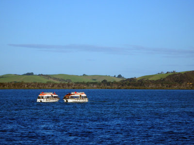 Tenders waiting for the passengers