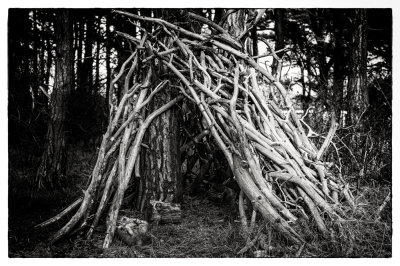 Tree house