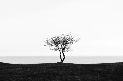 Peaceful