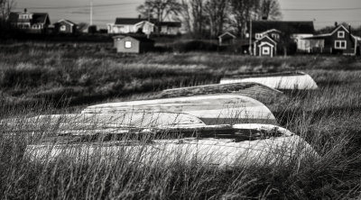 Black & White Monochrom