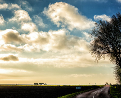 Early morning