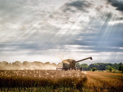 Harvesting