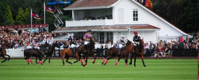 Cartier Queen's Cup 2014-234e.jpg