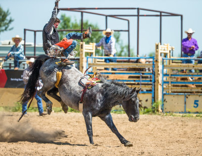 high_ridge_rodeo_2014