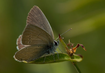 g9/78/746378/3/158807651.cjODAhKe.jpg