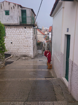 DSC_5369.jpg