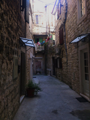 DSC_5384.jpg