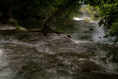 IMG_6640.jpg