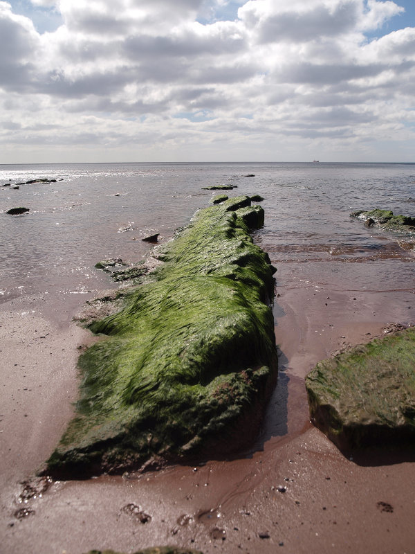 ROCKS AT LOW TIDE AT TEIGNMOUTH DEVON