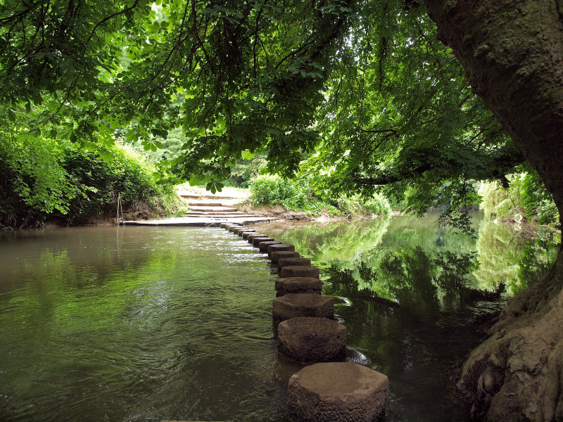 STEPPING STONES ACROSS RIVER MOLE Nr LEATHERHEAD / DORKING SURREY