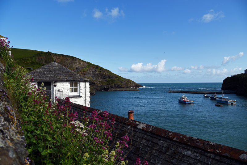 Port Isaac  Cornwall