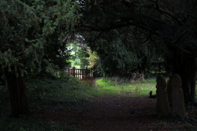 St Bartholomew's churchyard  Leigh Surrey 