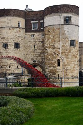 Tower of London Poppy Field