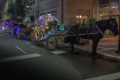 Horse Drawn Carriages